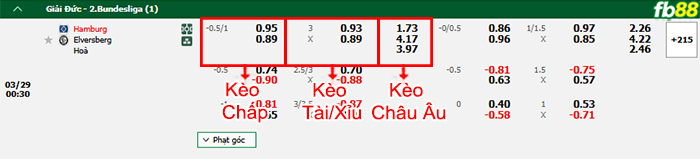 fb88-bang-keo-tran-dau-Hamburger-vs-Elversberg-29-03-2025
