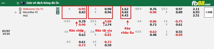 fb88-bảng kèo trận đấu Melbourne City vs Macarthur