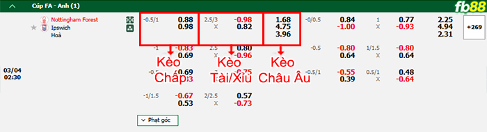 Fb88 bảng kèo trận đấu Nottingham vs Ipswich