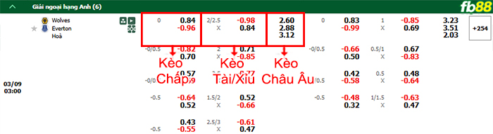 Fb88 bảng kèo trận đấu Wolves vs Everton