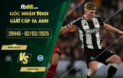 fb88-soi kèo Newcastle vs Brighton