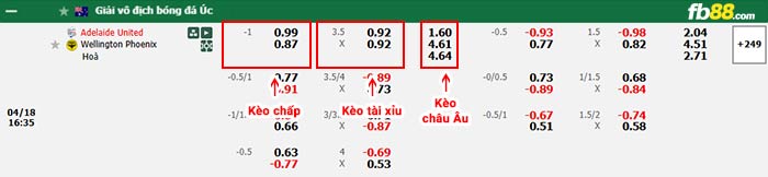 fb88-bảng kèo trận đấu Adelaide vs Wellington Phoenix