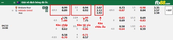 fb88-bảng kèo trận đấu Brisbane Roar vs Adelaide