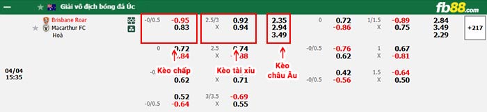 fb88-bảng kèo trận đấu Brisbane Roar vs Macarthur