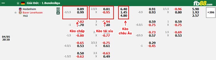fb88-bảng kèo trận đấu Heidenheim vs Leverkusen