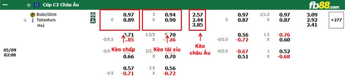 fb88-bảng kèo trận đấu Bodo Glimt vs Tottenham