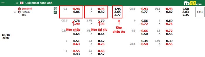 fb88-bảng kèo trận đấu Brentford vs Fulham