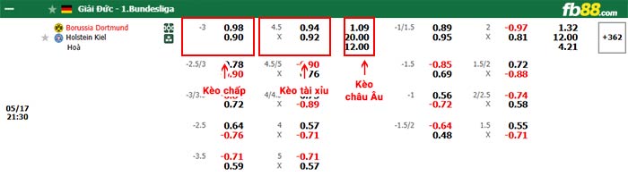 fb88-bảng kèo trận đấu Dortmund vs Holstein Kiel
