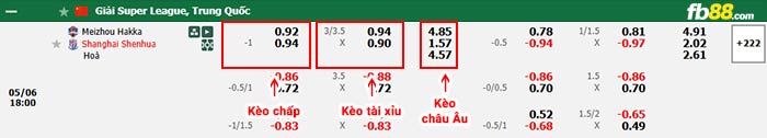 fb88-bảng kèo trận đấu Meizhou Hakka vs Shanghai Shenhua