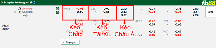 fb88-bang-keo-tran-dau-Royal-Antwerp-vs-Sporting-Charleroi-29-05-2025