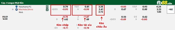 fb88-bảng kèo trận đấu Yokohama vs Machida Zelvia
