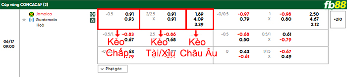 fb88-bang-keo-tran-dau-Jamaica-vs-Guatemala-17-06-2025