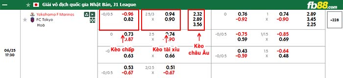 fb88-bảng kèo trận đấu Yokohama F. Marinos vs Tokyo