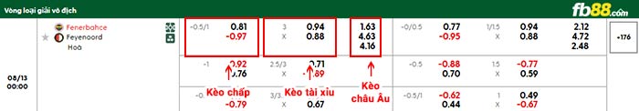 fb88-bảng kèo trận đấu Fenerbahce vs Feyenoord