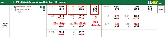 fb88-bảng kèo trận đấu Machida Zelvia vs Gamba Osaka