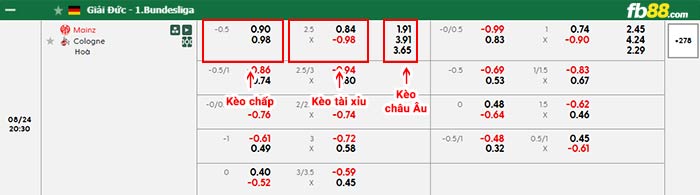 fb88-bảng kèo trận đấu Mainz vs Koln