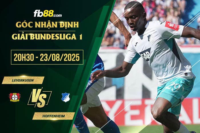 fb88-soi kèo Leverkusen vs Hoffenheim