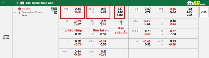 fb88-bảng kèo trận đấu Arsenal vs Nottingham