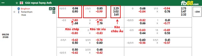 fb88-bảng kèo trận đấu Brighton vs Tottenham