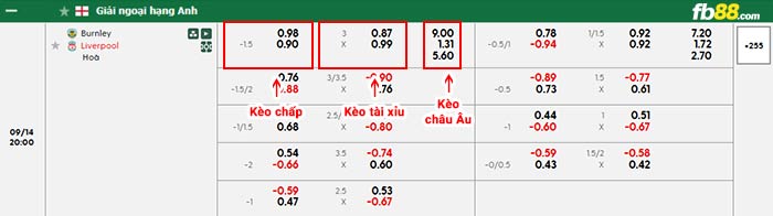 fb88-bảng kèo trận đấu Burnley vs Liverpool