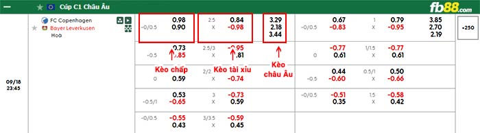 fb88-bảng kèo trận đấu Copenhagen vs Leverkusen