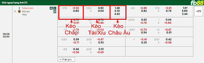 fb88-bang-keo-tran-dau-Tottenham-vs-Wolves-28-09-2025