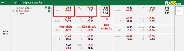 fb88-bảng kèo trận đấu Union Saint-Gilloise vs Newcastle