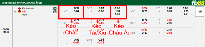 fb88-bang-keo-tran-dau-Bac-Ailen-vs-Duc-14-10-2025