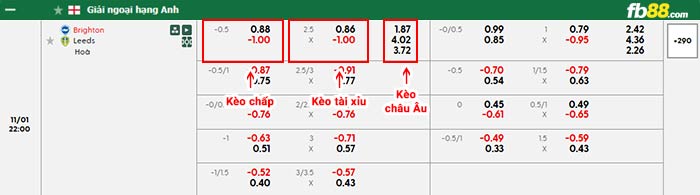 fb88-bảng kèo trận đấu Brighton vs Leeds