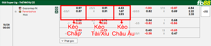 fb88-bang-keo-tran-dau-Gazisehir-Gaziantep-vs-Fenerbahce-28-10-2025