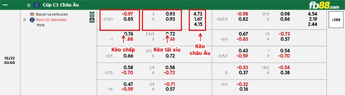 fb88-bảng kèo trận đấu Leverkusen vs PSG
