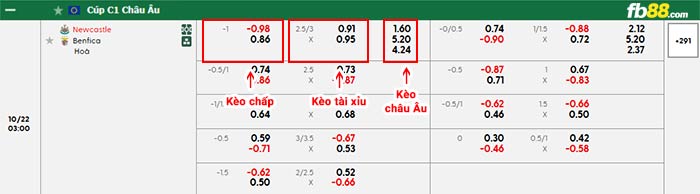 fb88-bảng kèo trận đấu Newcastle vs Benfica