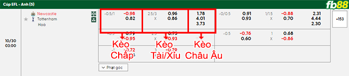fb88-bang-keo-tran-dau-Newcastle-vs-Tottenham-30-10-2025