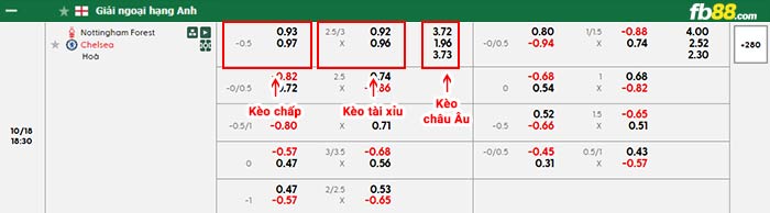 fb88-bảng kèo trận đấu Nottingham vs Chelsea
