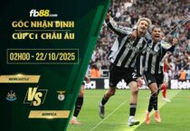 fb88-soi kèo Newcastle vs Benfica
