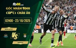 fb88-soi kèo Newcastle vs Benfica
