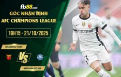 fb88-soi kèo Shanghai Port vs Machida Zelvia