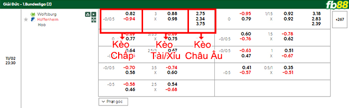 fb88-bang-keo-Wolfsburg-vs-Hoffenheim-02-11-2025tran-dau-