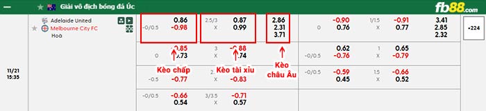 fb88-bảng kèo trận đấu Adelaide vs Melbourne City