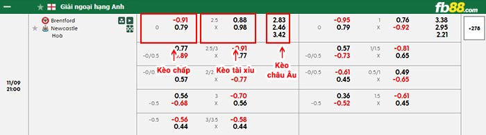 fb88-bảng kèo trận đấu Brentford vs Newcastle