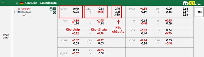 fb88-bảng kèo trận đấu Koln vs Hamburger