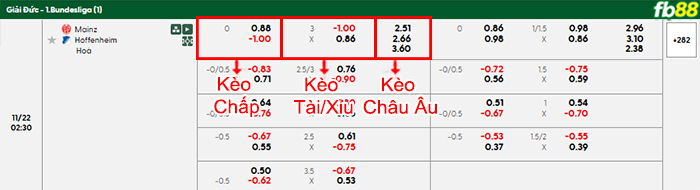 fb88-bang-keo-tran-dau-Mainz-vs-Hoffenheim-22-11-2025