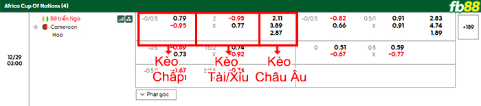 fb88-bang-keo-tran-dau-Bo-Bien-Nga-vs-Cameroon-29-12-2025