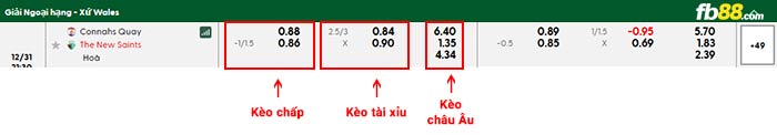 fb88-bảng kèo trận đấu Connah's Quay vs The New Saints