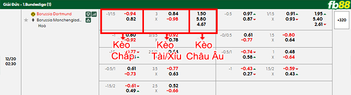 fb88-bang-keo-tran-dau-Dortmund-vs-Monchengladbach-20-12-2025
