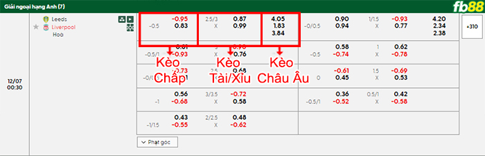 fb88-bang-keo-tran-dau-Leeds-vs-Liverpool-07-12-2025