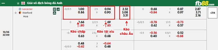fb88-bảng kèo trận đấu Leicester vs Watford