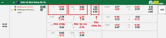 fb88-bảng kèo trận đấu Melbourne Victory vs Wellington Phoenix