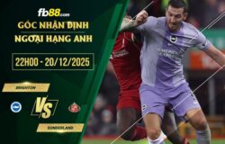 fb88-soi kèo Brighton vs Sunderland