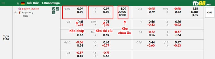 fb88-bảng kèo trận đấu Bayern Munich vs Augsburg